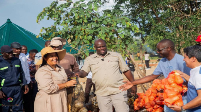 The Kandishaya Farm model: Proof  that Zimbabwe can produce one  million youth millionaires by 2030