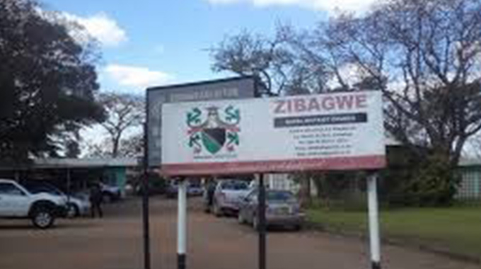 Zibagwe RDC establishes new primary school to bridge education gap