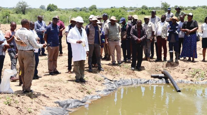 From displacement to dignity: How refugees are farming a future