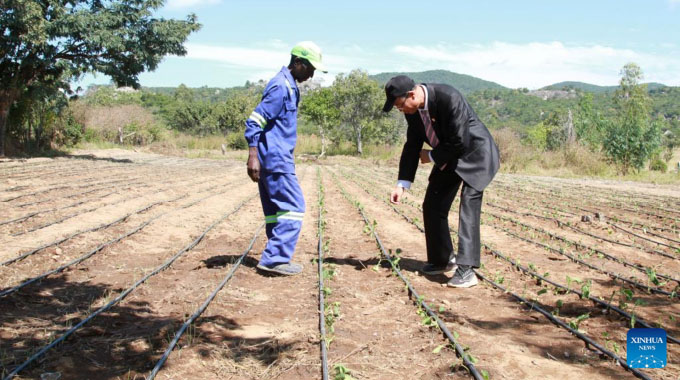Poverty alleviation: Zimbabwe China must deepen co-operation