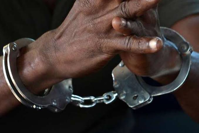 Harare Mayor Mafume, Shadreck Mashayamombe arrested