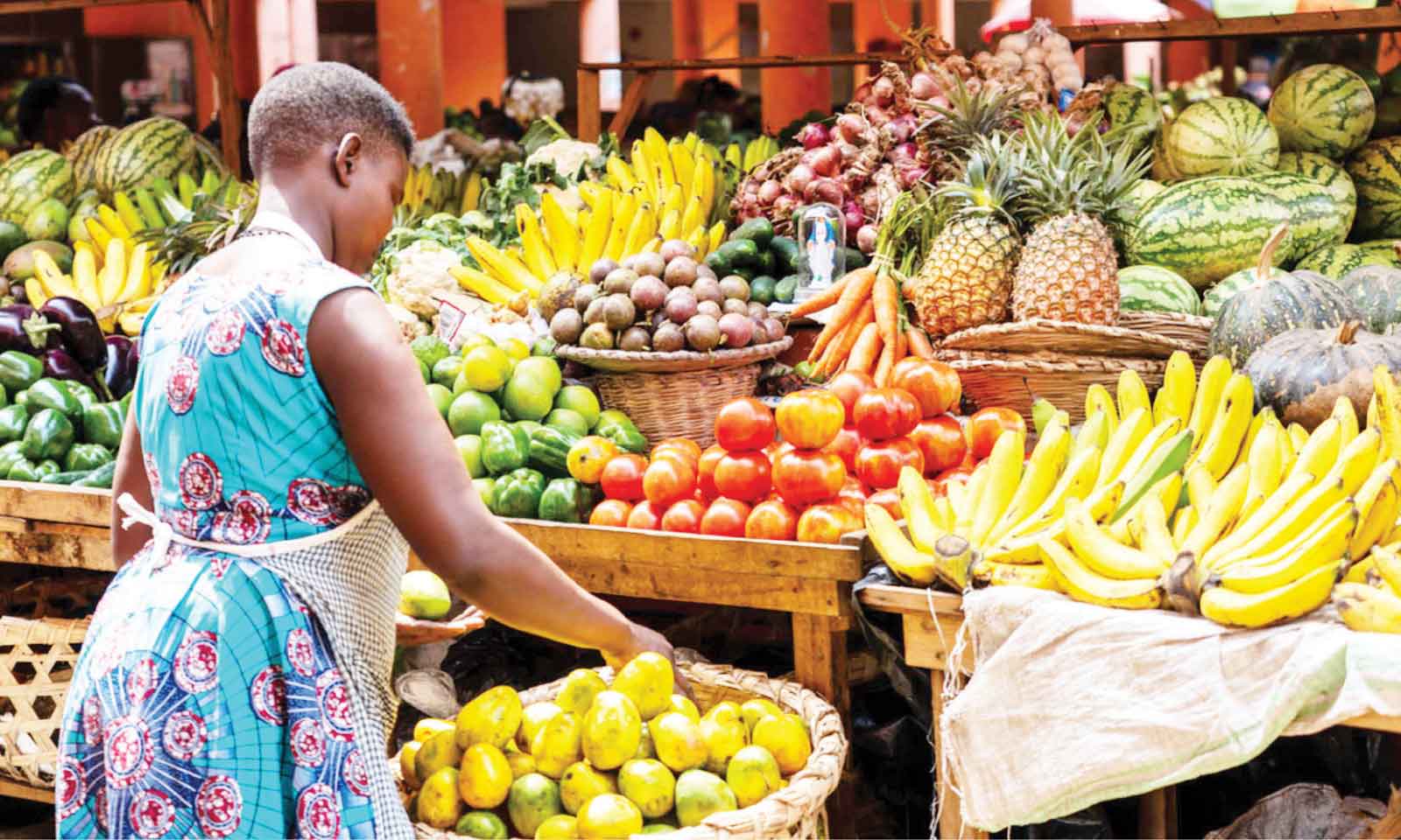 Agricultural exports from Africa are not doing well
