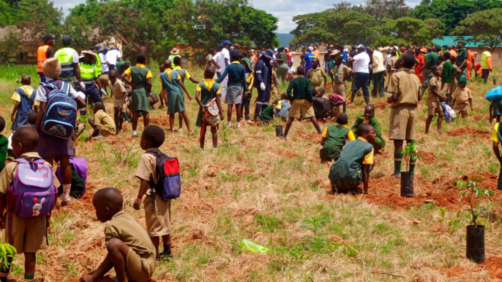 Freda Rebecca donates orchard trees, beehives to Bindura Prison Schools
