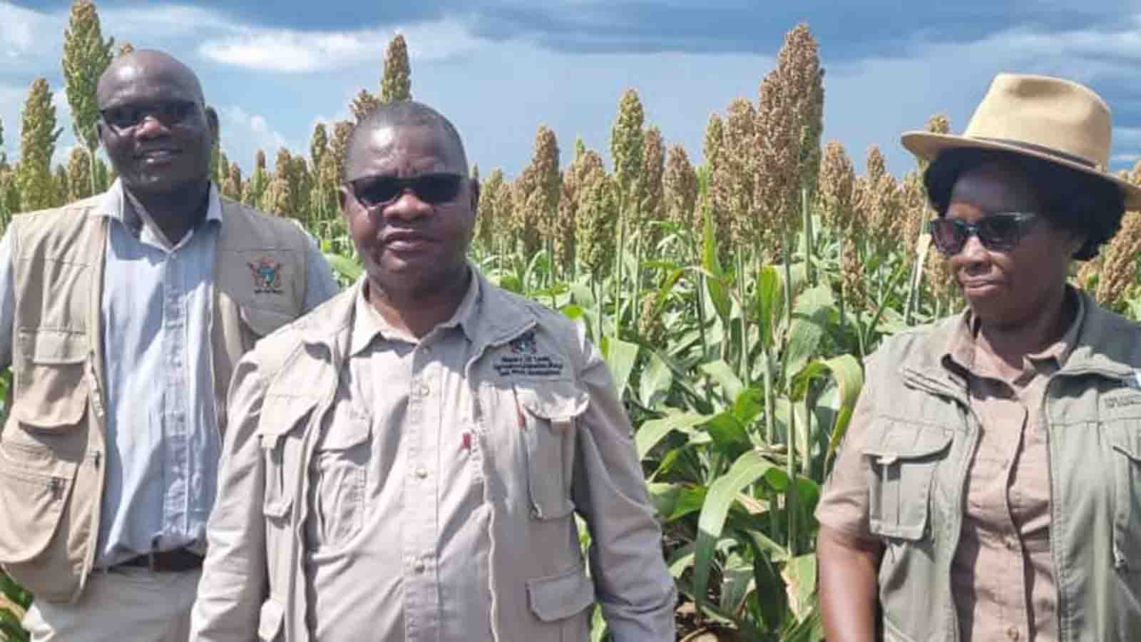 Agro-ecological matching key to food security — Professor Jiri