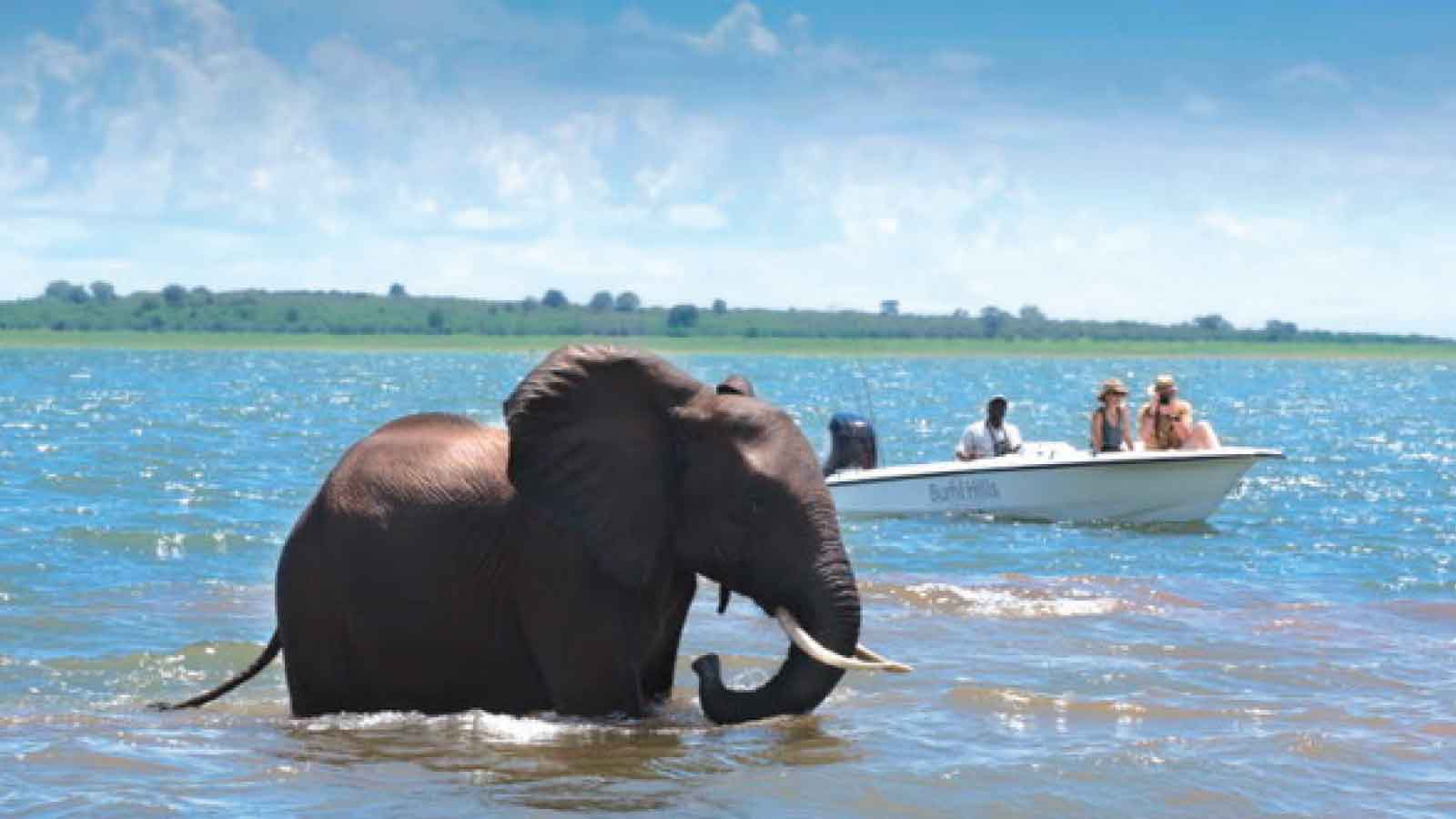 Kariba villagers embrace wildlife conservation for livelihoods