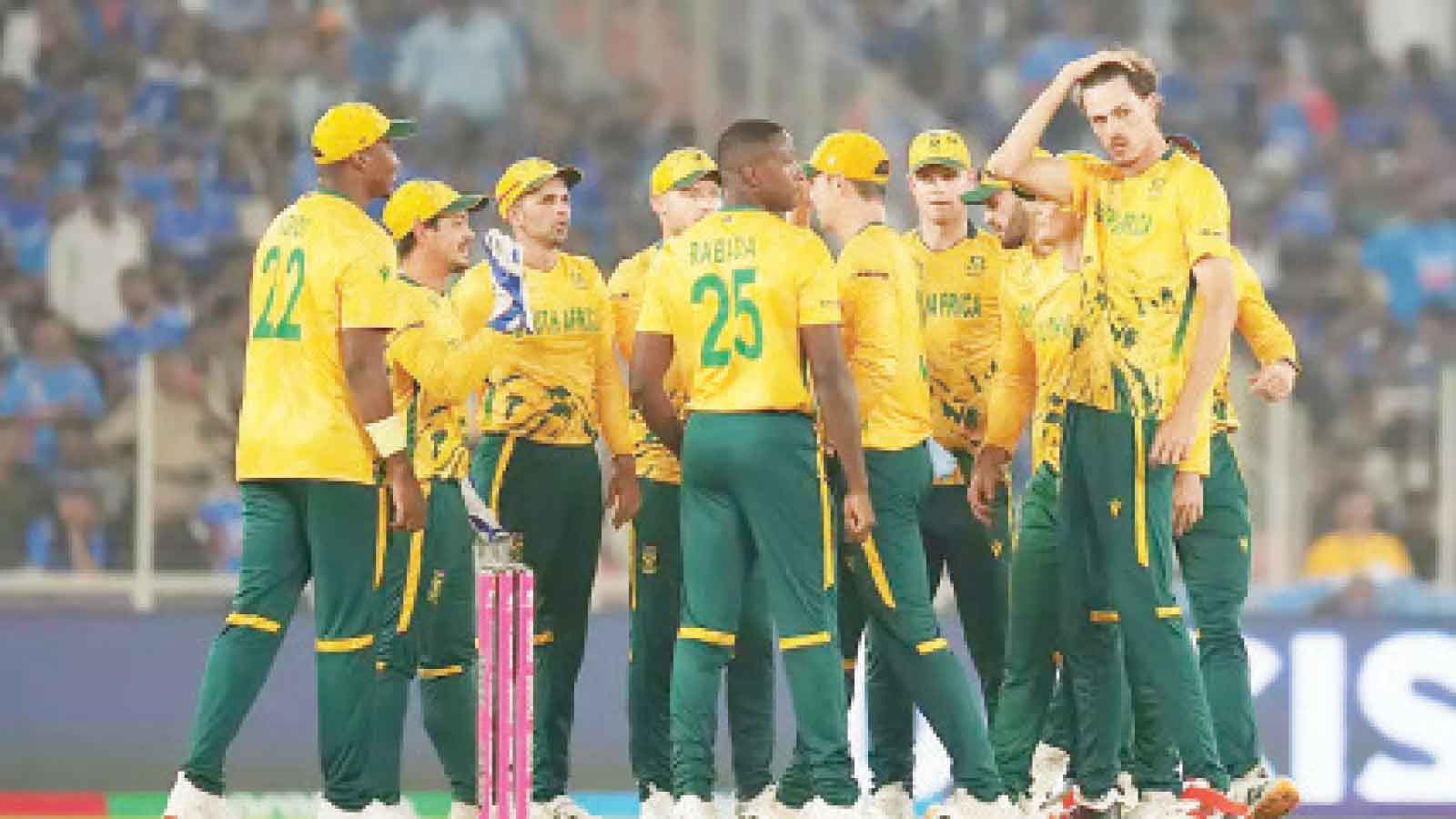 PROTEAS HAMMER INDIA