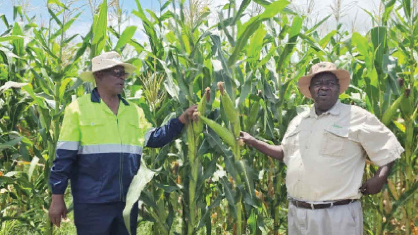 THEY DON’T ONLY LOOK AFTER INMATES, THEY’RE ALSO SUCCESSFUL FARMERS
