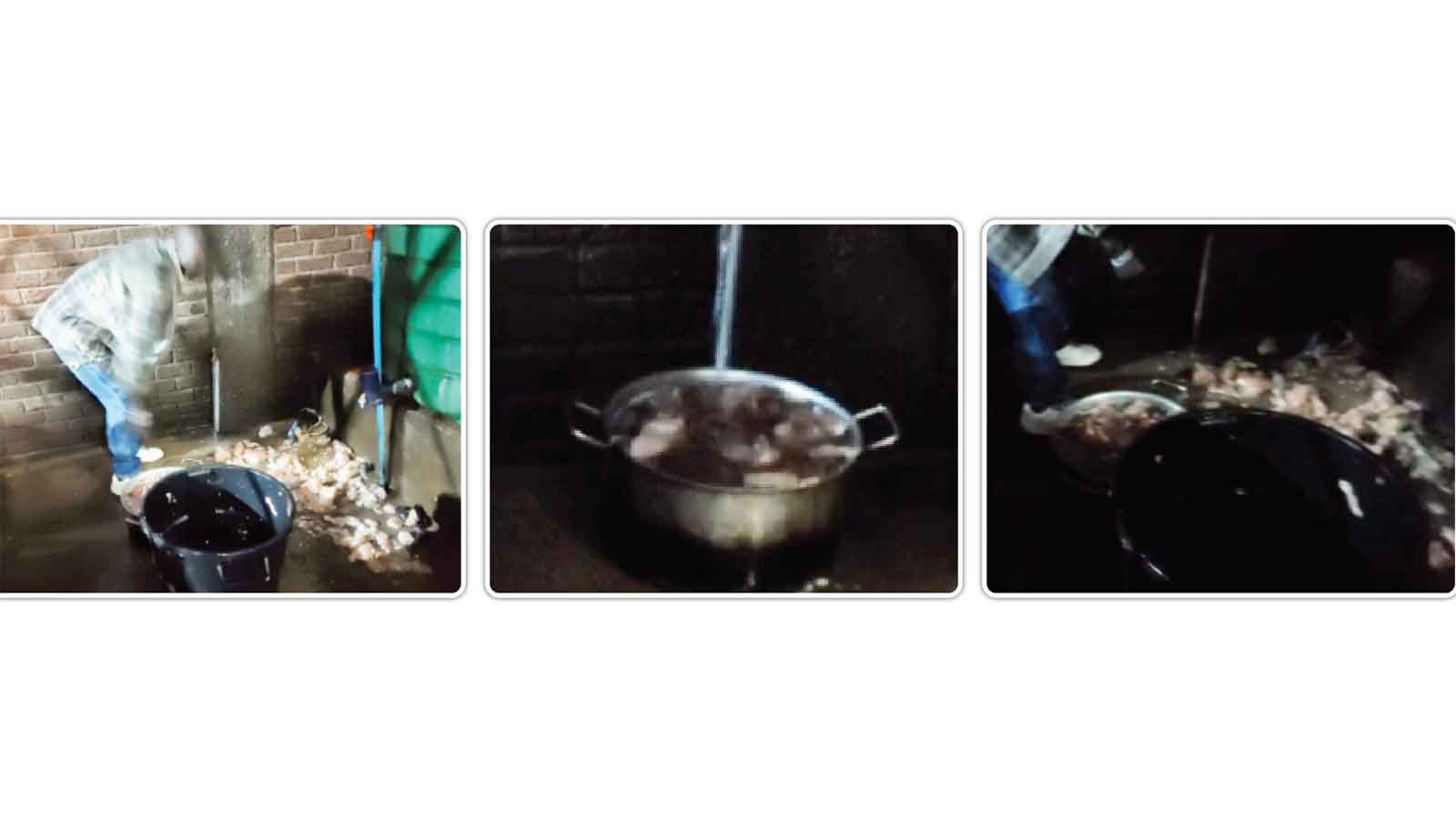 CITY AUTHORITIES TO PROBE RESTAURANT AMID CLAIMS IT SOLD PET FOOD TO CLIENTS