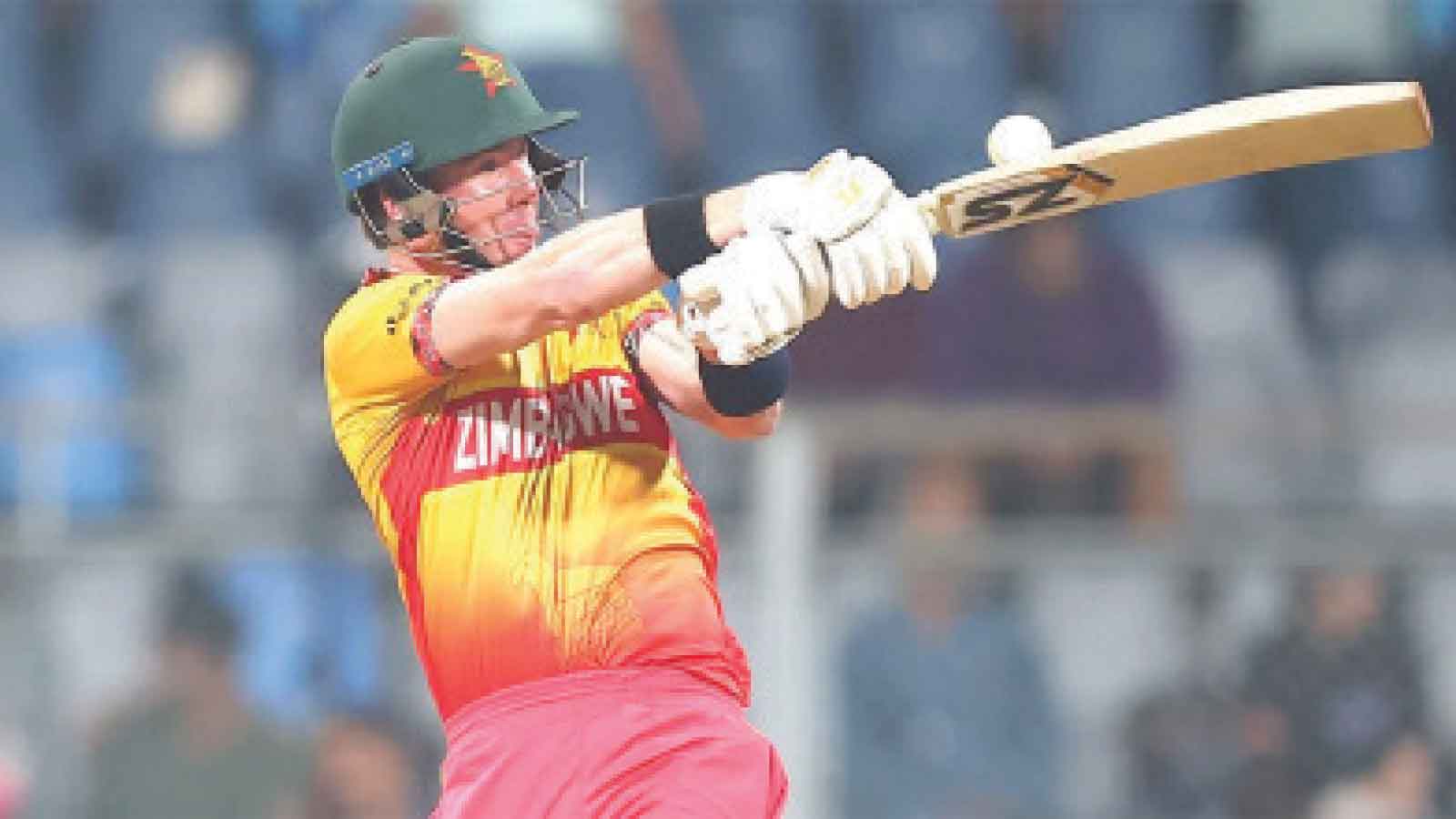 ZIM FACE MIGHTY INDIA