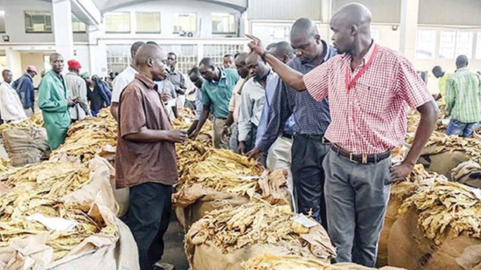 Tobacco farmers want forex retention policy reviewed