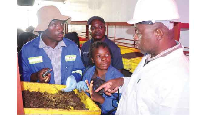 Refugee farmers turn displacement into dignity