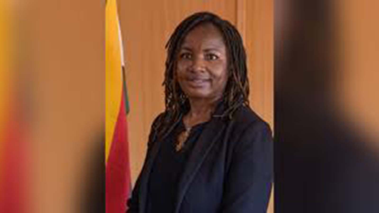 Zimbabwe, Mozambique strengthen border cooperation to boost Beira Corridor efficiency