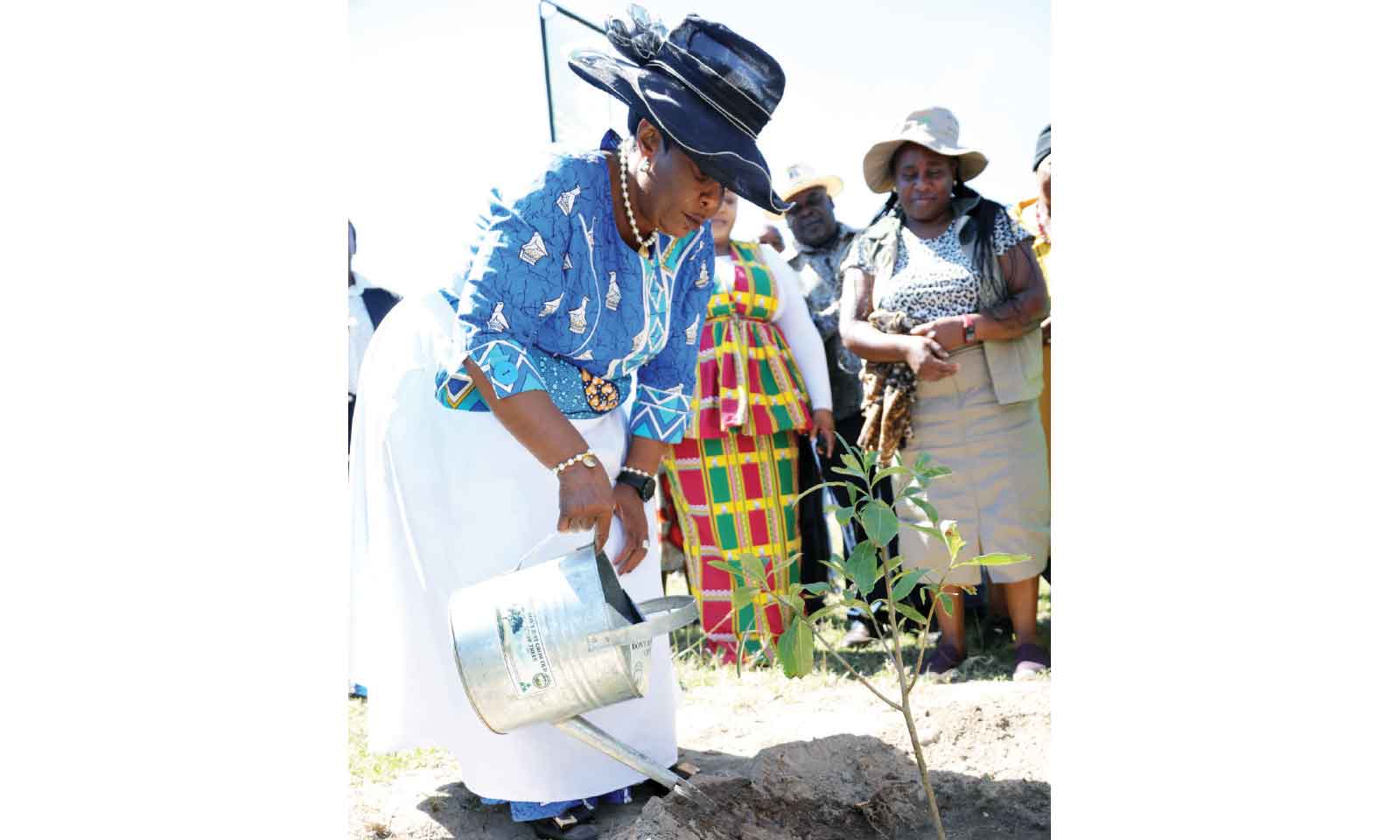First Lady advances tree-planting drive in Masvingo