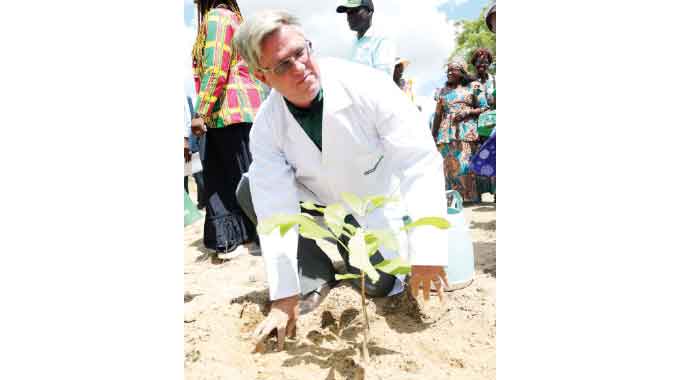 First Lady takes tree planting initiative to Mash East . . . donates to elderly, vulnerable communities