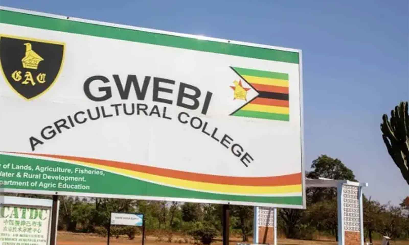Assessing the status of qualifications and work experience in the agriculture sector in Zimbabwe and across Africa – Part 1