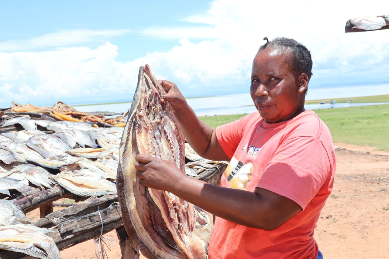 NEW: Cold chain facility set up in Kariba to end fishers’ exploitation 