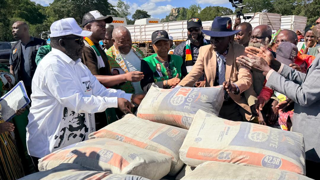 Muchinguri-Kashiri denounces critics of constitutional amendment