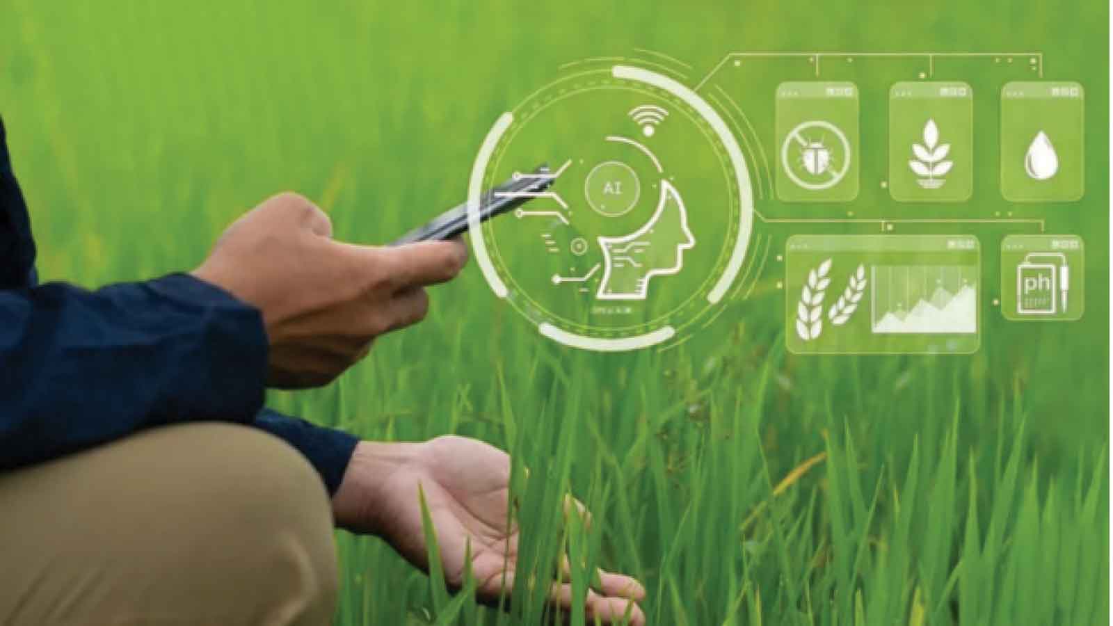 Russian scientists develop AI method to detect crop diseases