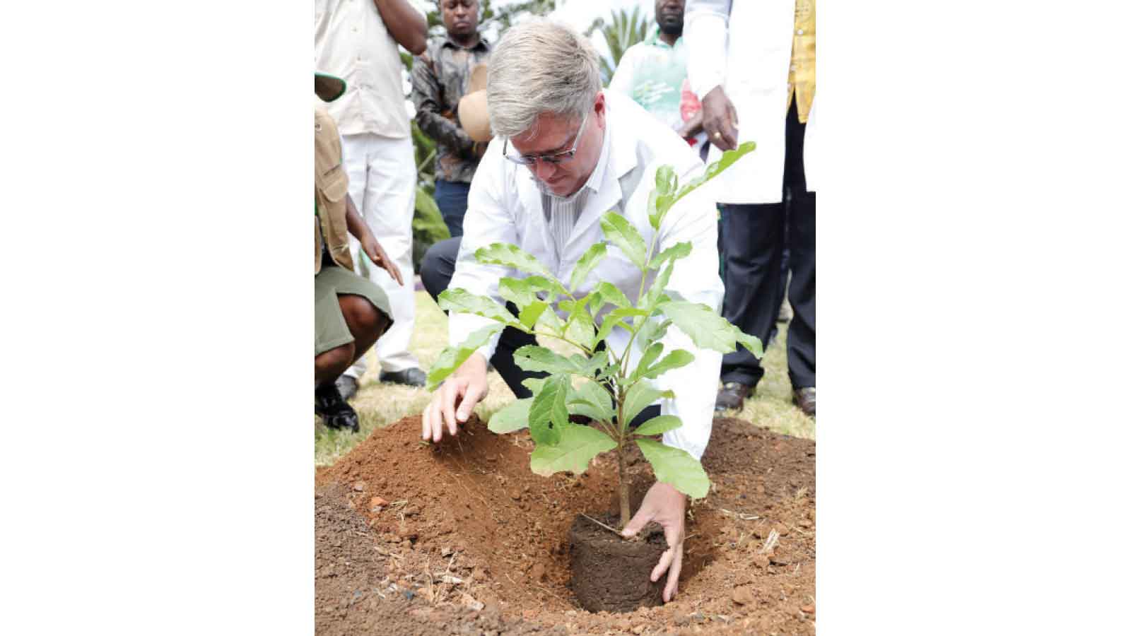 First Lady takes tree-planting initiative to Bulawayo . . . extends support to vulnerable groups in Bulawayo, Mat South and Mat North
