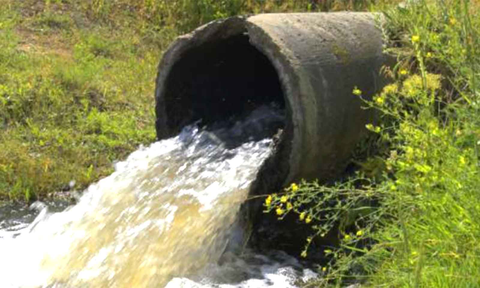 FOETUS FOUND IN BLOCKED SEWER SYSTEM