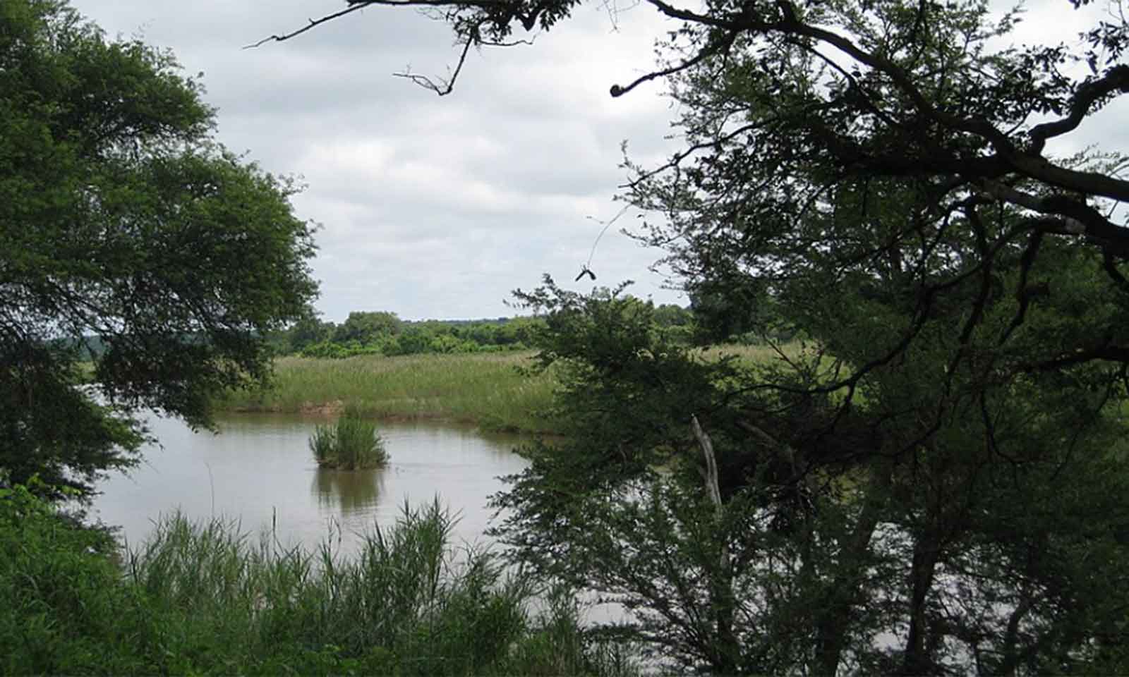 WHAT ABOUT FIVE-STAR LODGES ALONG THE BANKS OF THE SABI RIVER?
