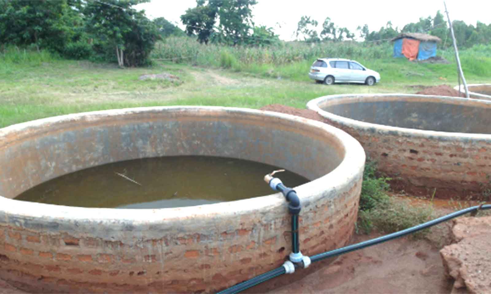 MINE WORKER FOUND DEAD IN CYANIDE TANK