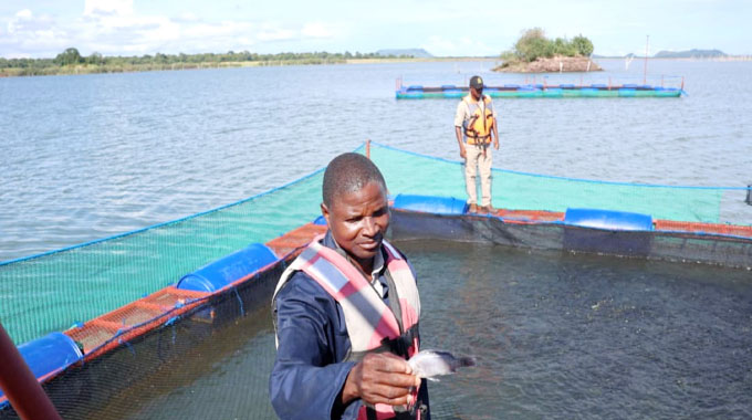 Floating hope: Science, safety and resilience on the Zambezi