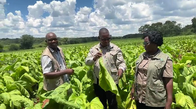 Liquid power: How Zimbabwe is engineering  an agricultural revolution beneath its soil