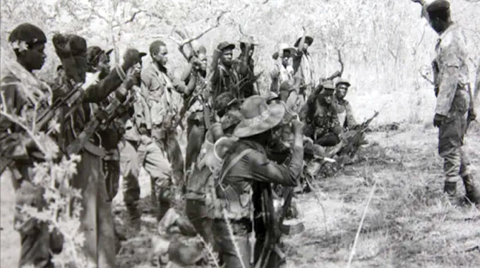 ZANLA deploys in Matabeleland South