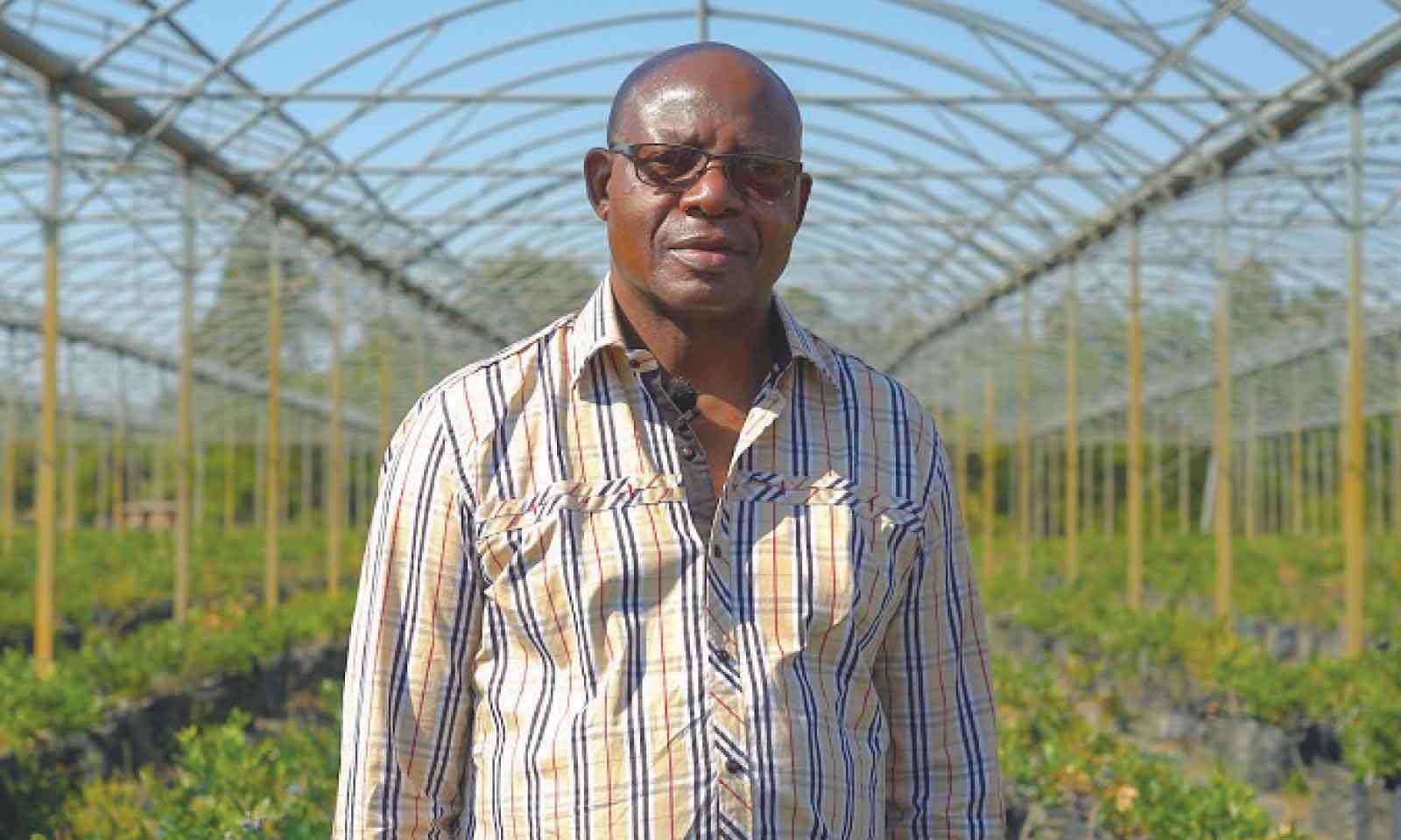 Nhimbe blocks auction of horticulture equipment