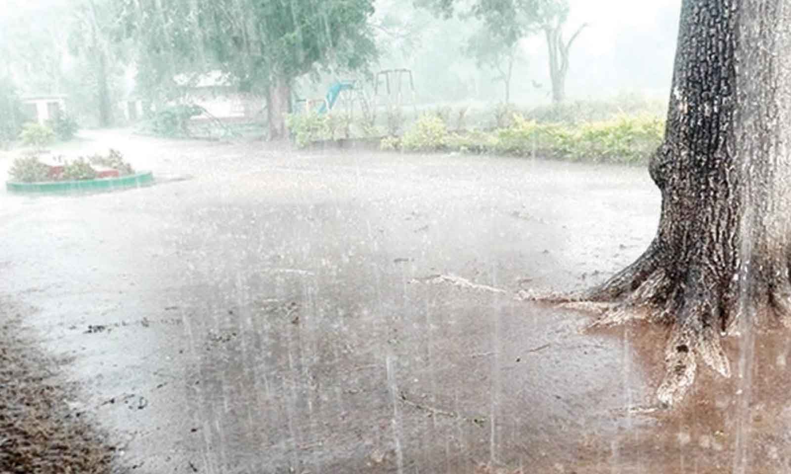FIFTEEN INJURED AS STORM  POUNDS PRIMARY SCHOOL