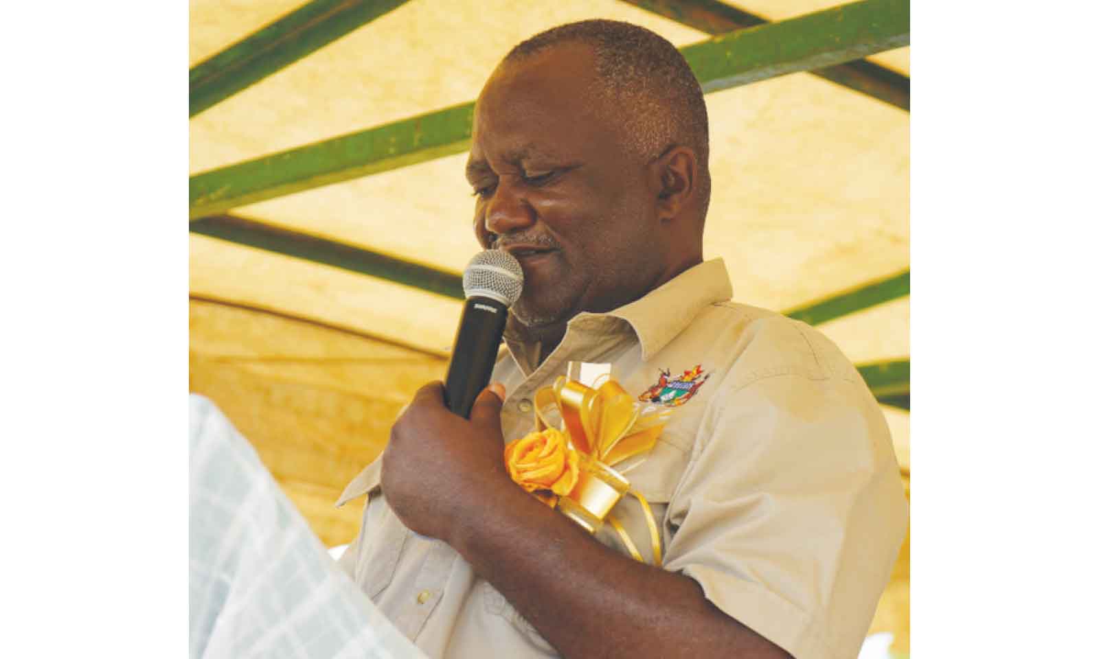 Gororo irrigation scheme lifts rural incomes in Chivi