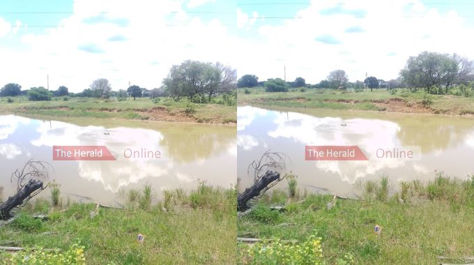 WATCH: Two hippos invade Dr Obert Mpofu’s home in Nyamandlovu