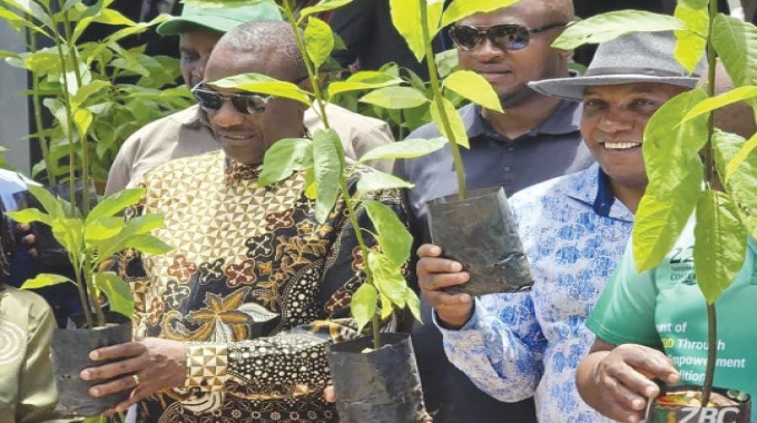 Midlands launches Constituency Tree Planting Programme