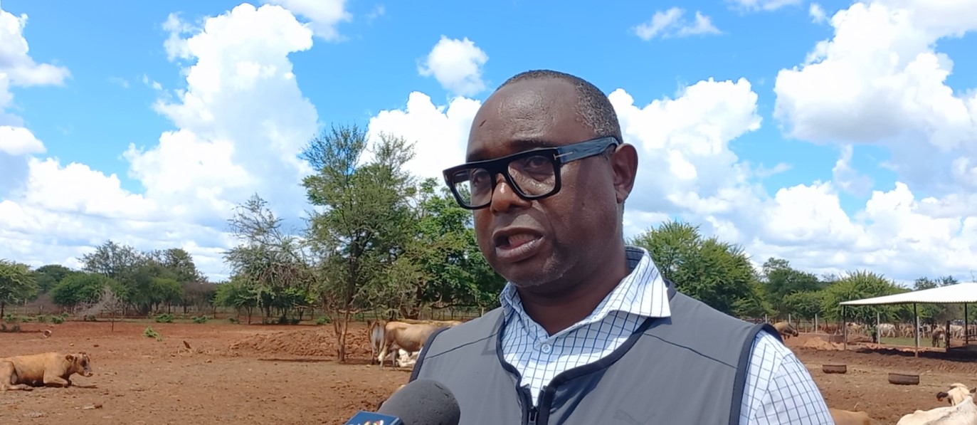 Bubi dairy farm key to dairy import substitution