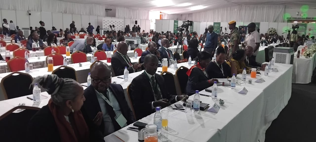 ZimTrade conference charts path from local roots to global markets