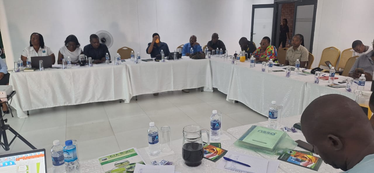 Illegal mining, sand poaching top EMA stakeholders meeting in Bulawayo