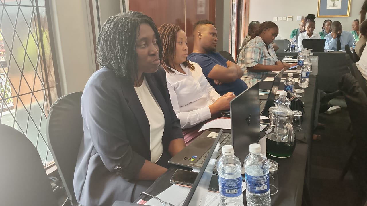 Over 50% of Bulawayo industries not compliant with effluent standards