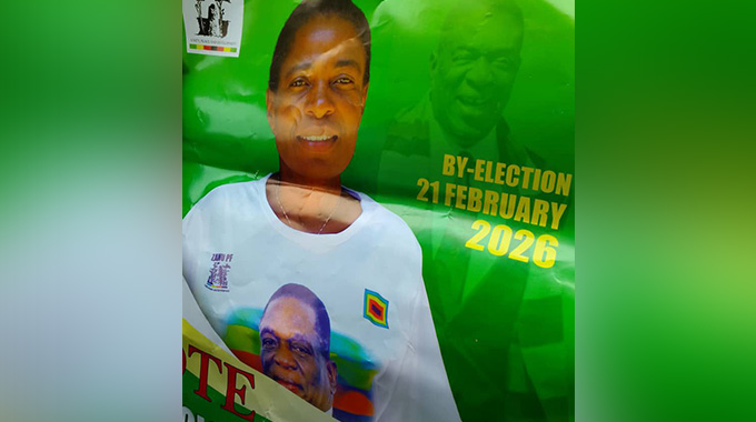 Zanu PF wins Matobo Ward 13 by-election