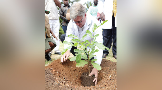 First Lady takes tree-planting initiative to Bulawayo….extends support to vulnerable groups in Bulawayo, Mat South, Mat North