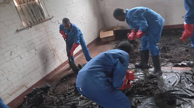 Market waste is gold at Eveline High School: Pupils turn rotting vegetables into award-winning organic fertiliser