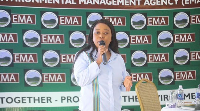 Bulawayo sets up taskforce to tackle illegal mining and sand poaching
