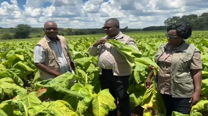 Farmers reap rewards as rehabilitated Wanezi Dam transforms agriculture