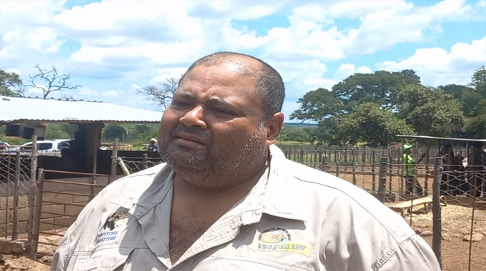 Umguza farmer scales up Dorper sheep production. . . grows flock from 46 to 1 200