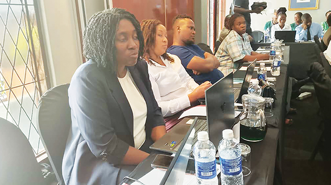 Over half of Bulawayo industries breaching effluent standards, council warns