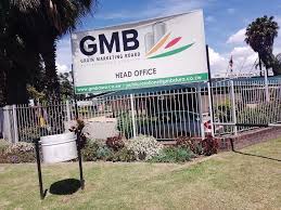 Farmer relief as GMB secures ZWG30m, US$2,5m for farmer payouts from Treasury
