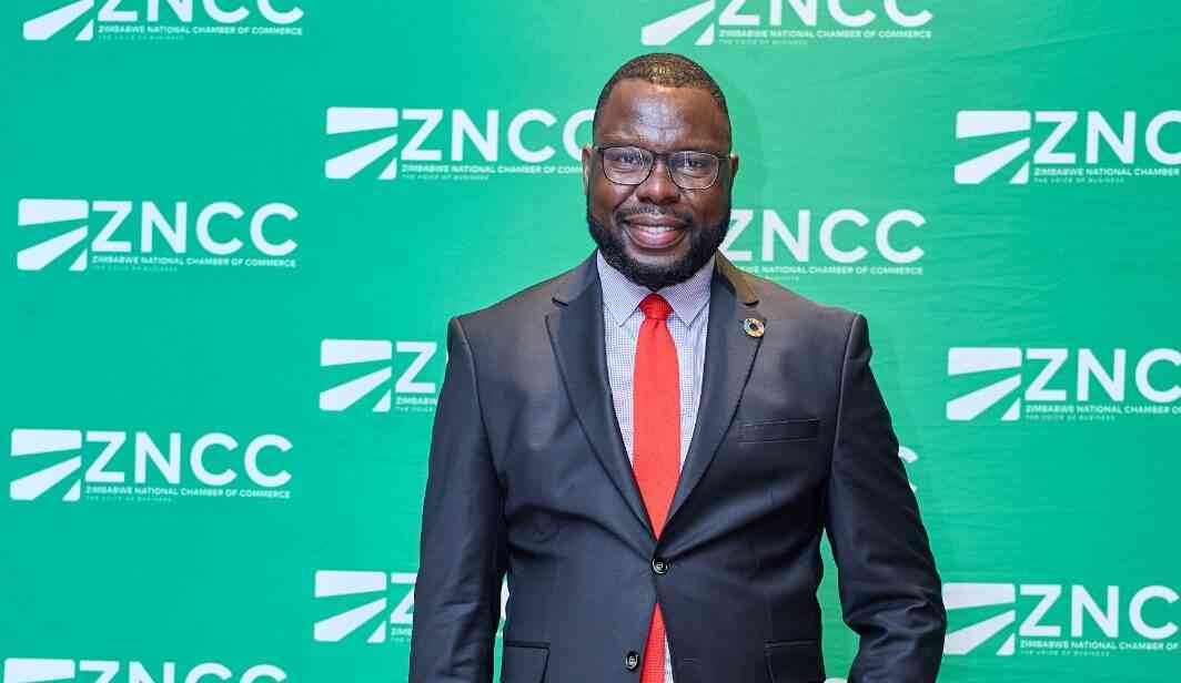 Zimbabwe shifts focus from donor funding to private sector financing