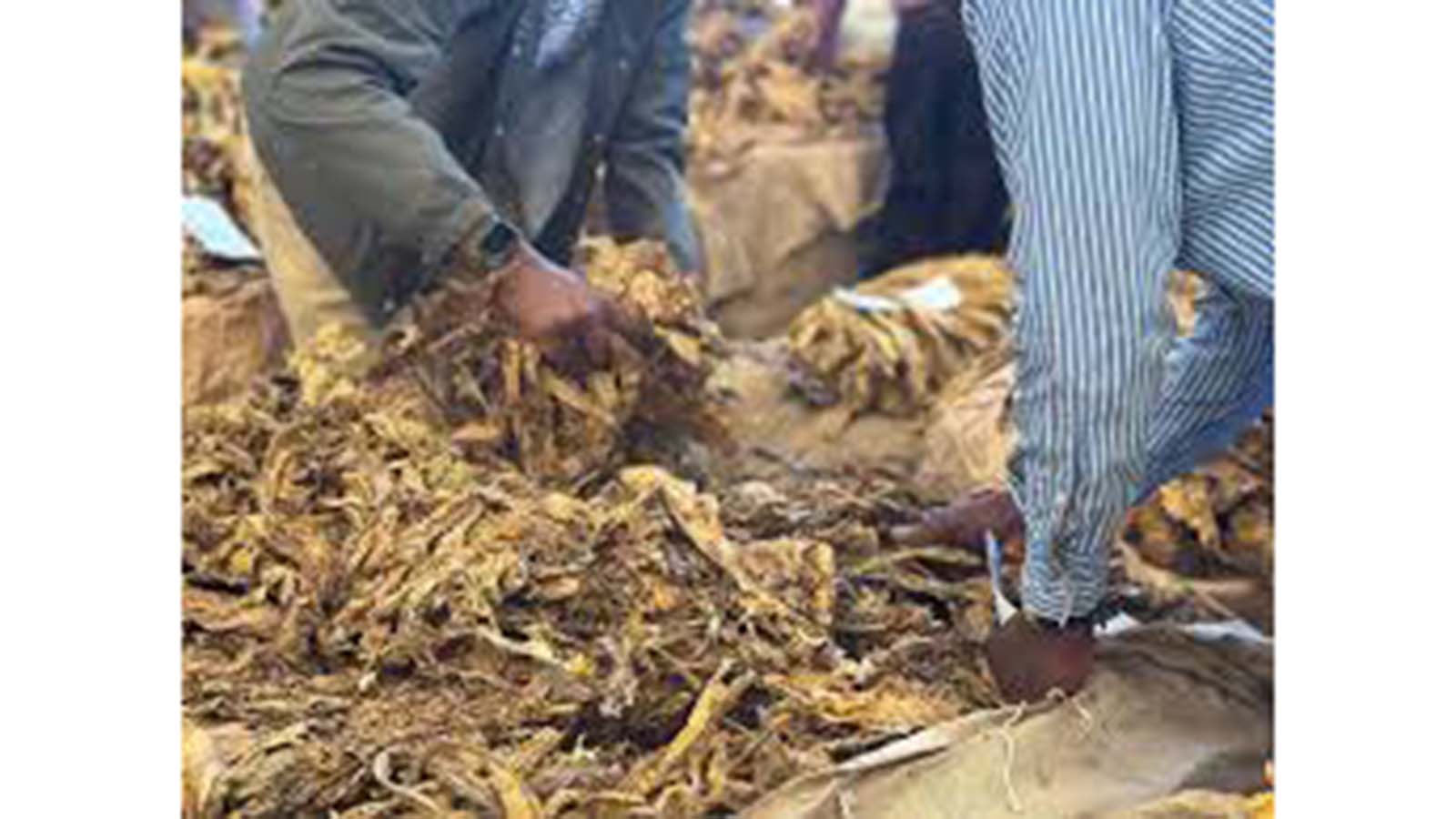 Nesting is an offence, farmers told