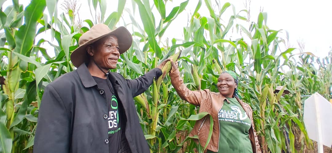 Pfumvudza is the real deal: Minister Ndudzo