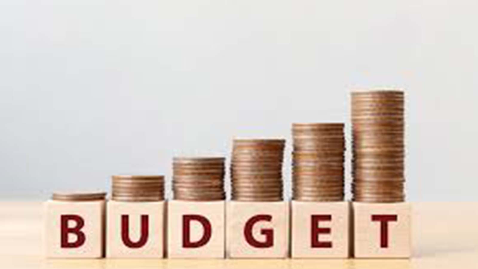 Epworth Local Board’s 2026 budget approved